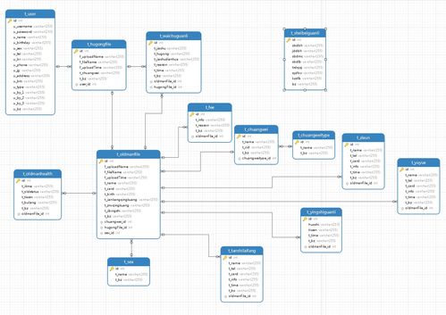 基于SSM框架的非Maven養(yǎng)老院綜合服務管理系統(tǒng)運行維護服務解析