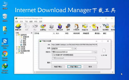 Windows電腦必裝的10款軟件，個個都是精品